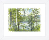 Summer Lake IV (Framed) -  Elissa Gore - McGaw Graphics