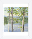 Cooper Lake II (Framed) -  Elissa Gore - McGaw Graphics