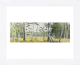 Birch Field (Framed) -  Elissa Gore - McGaw Graphics