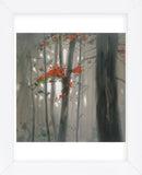Autumn Embers  (Framed) -  Seth Garrett - McGaw Graphics