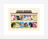 Horse Breeds  (Framed) -  Janell Genovese - McGaw Graphics