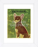 Chihuahua (chocolate and tan)  (Framed) -  John W. Golden - McGaw Graphics