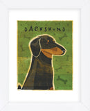 Dachshund (black and tan)  (Framed) -  John W. Golden - McGaw Graphics
