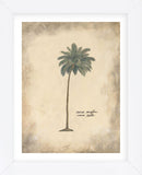 Cocoa Palm  (Framed) -  Annabel Hewitt - McGaw Graphics