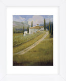 Tuscany Vineyard  (Framed) -  Carolyne Hawley - McGaw Graphics