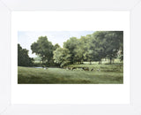 Grazing (Framed) -  Ray Hendershot - McGaw Graphics