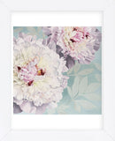 Peony on Blue  (Framed) -  Elizabeth Hellman - McGaw Graphics