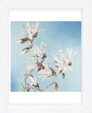 Magnolia  (Framed) -  Elizabeth Hellman - McGaw Graphics