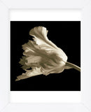 Tulip (Framed) -  Michael Harrison - McGaw Graphics