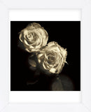 Circus Roses (Framed) -  Michael Harrison - McGaw Graphics