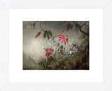 Passion Flowers and Hummingbirds, about 1870-83 (Framed) -  Martin Johnson Heade - McGaw Graphics