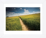 Summer Path (Framed) -  Michael Hudson - McGaw Graphics