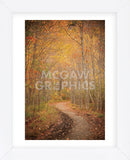 Winding Autumn Path (Framed) -  Michael Hudson - McGaw Graphics