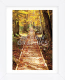 Boardwalk (Framed) -  Michael Hudson - McGaw Graphics