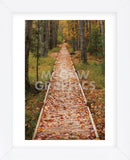 Straight Path (Framed) -  Michael Hudson - McGaw Graphics