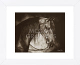 Desert Arabian (Framed) -  Barry Hart - McGaw Graphics