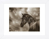 The Renegade (Framed) -  Barry Hart - McGaw Graphics