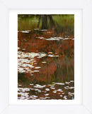 Lily Pads and Red Maple (Framed) -  Michael Hudson - McGaw Graphics