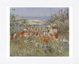 Celia Thaxter’s Garden, Isles of Shoals, Maine, 1890 (Framed) -  Childe Hassam - McGaw Graphics