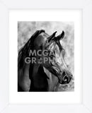 Magnum Force (b/w) (Framed) -  Barry Hart - McGaw Graphics