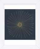 Burst II (Framed) -  Cathe Hendrick - McGaw Graphics