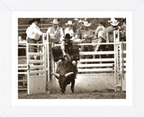 That Ain’t No Bull (Framed) -  Barry Hart - McGaw Graphics