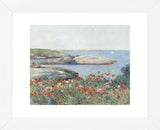 Poppies, Isles of Shoals, 1891 (Framed) -  Childe Hassam - McGaw Graphics