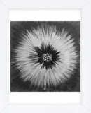 Twinkle (Framed) -  Cathe Hendrick - McGaw Graphics