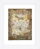 Honeycomb Pussmoths (Framed) -  Annabel Hewitt - McGaw Graphics