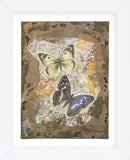 Honeycomb Butterflies  (Framed) -  Annabel Hewitt - McGaw Graphics