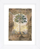 Lace and Papaya (Framed) -  Annabel Hewitt - McGaw Graphics
