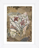 Tigerlily and Lace  (Framed) -  Annabel Hewitt - McGaw Graphics