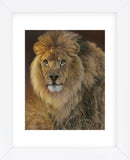 Power and Presence - African Lion  (Framed) -  Joni Johnson-Godsy - McGaw Graphics