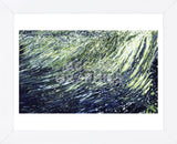 Waterfall, St. Marks River, Florida (Framed) -  Margaret Juul - McGaw Graphics