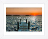Morning Glory (Framed) -  Mary Lou Johnson - McGaw Graphics