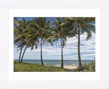 Beach Palms (Framed) -  Mary Lou Johnson - McGaw Graphics