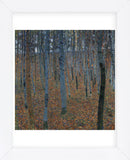 Beech Grove I, 1902 (Framed) -  Gustav Klimt - McGaw Graphics