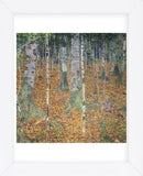 Birch Forest, 1903 (Framed) -  Gustav Klimt - McGaw Graphics