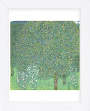 Rosebushes under the Trees, ca. 1905 (Framed) -  Gustav Klimt - McGaw Graphics