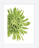 Green Bloom 3  (Framed) -  Jenny Kraft - McGaw Graphics