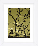 Autumn Branch (sepia)  (Framed) -  Jenny Kraft - McGaw Graphics