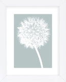 Dandelion (blue)  (Framed) -  Jenny Kraft - McGaw Graphics