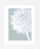 Dandelion Crop (blue)  (Framed) -  Jenny Kraft - McGaw Graphics