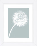 Dandelion Tilt (blue)  (Framed) -  Jenny Kraft - McGaw Graphics