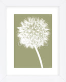 Dandelion (khaki)  (Framed) -  Jenny Kraft - McGaw Graphics
