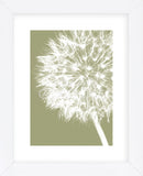 Dandelion Crop (khaki)  (Framed) -  Jenny Kraft - McGaw Graphics
