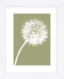 Dandelion Tilt (khaki)  (Framed) -  Jenny Kraft - McGaw Graphics