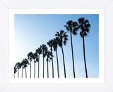 La Jolla Palms  (Framed) -  Jenny Kraft - McGaw Graphics