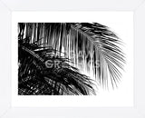 Palms 3  (Framed) -  Jamie Kingham - McGaw Graphics