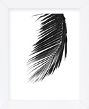 Palms 8  (Framed) -  Jamie Kingham - McGaw Graphics